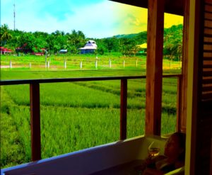 guerrera rice paddy villas resort in camiguin